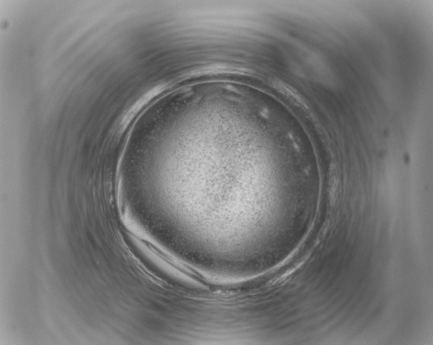 X0000052931321200507221111