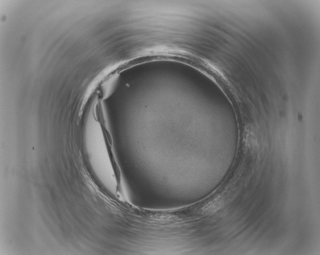 X0000052931323200507221111