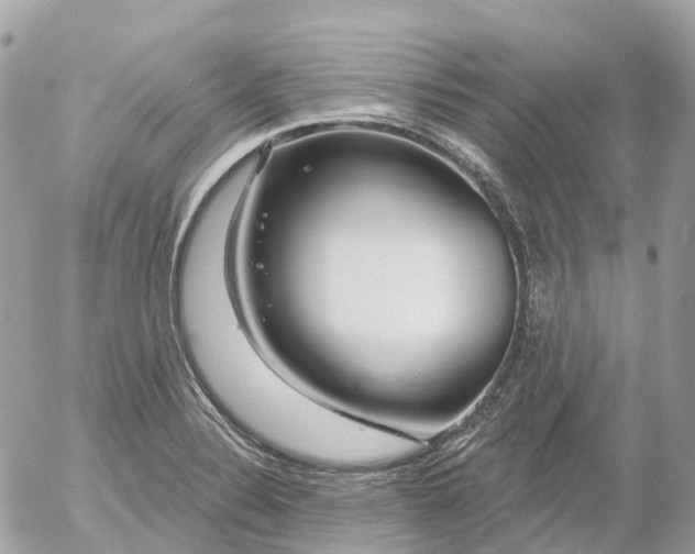 X0000052931324200507221111