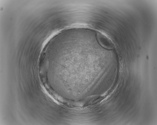 X0000052931325200507221111