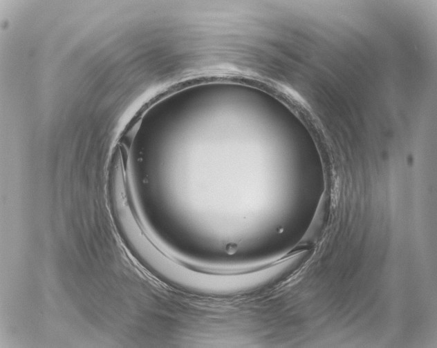 X0000052931326200507221112