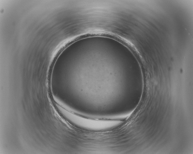 X0000052931327200507221112