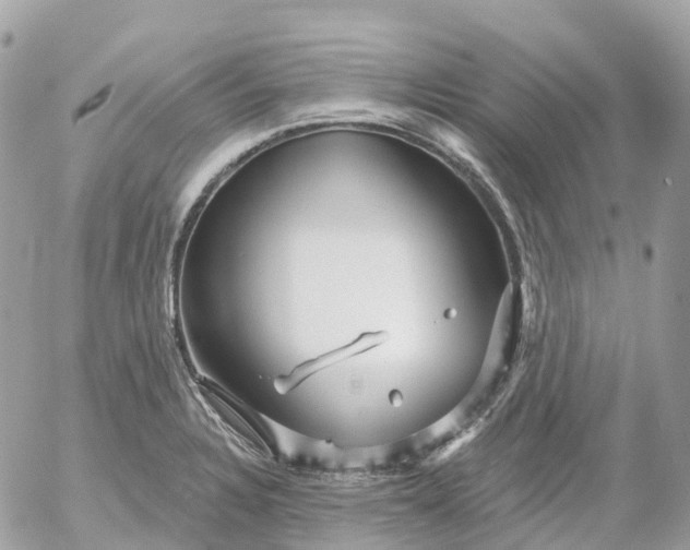 X0000052931328200507221112