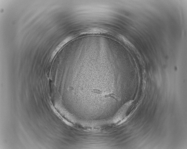 X0000052931329200507221112