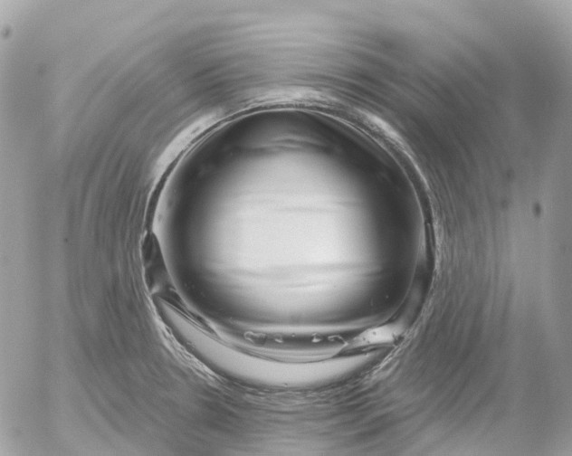 X0000052931330200507221112