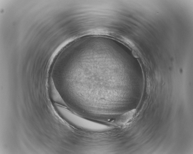 X0000052931331200507221112