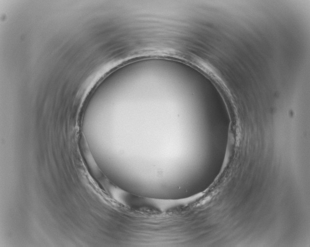 X0000052931332200507221112