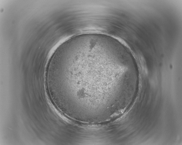 X0000052931333200507221112