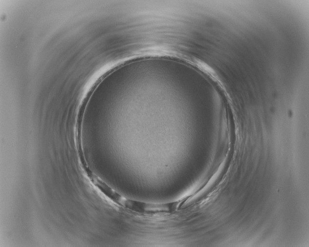 X0000052931334200507221112