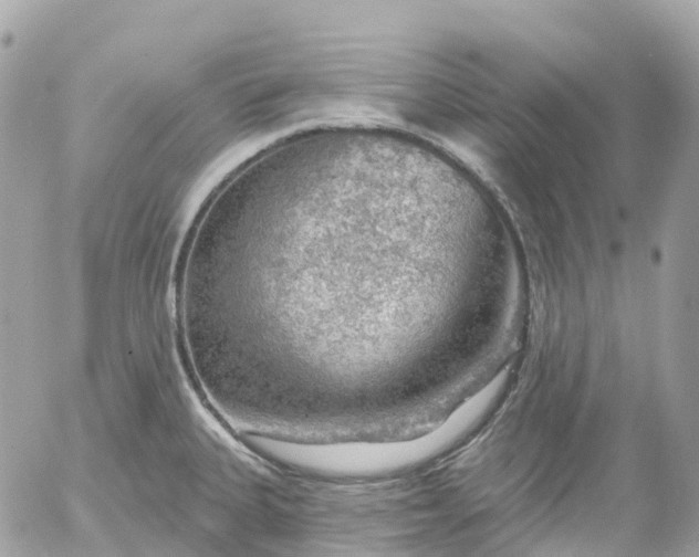 X0000052931335200507221112