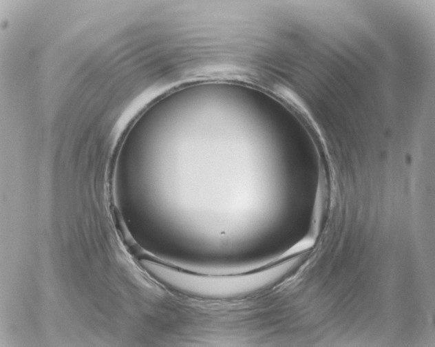 X0000052931336200507221112