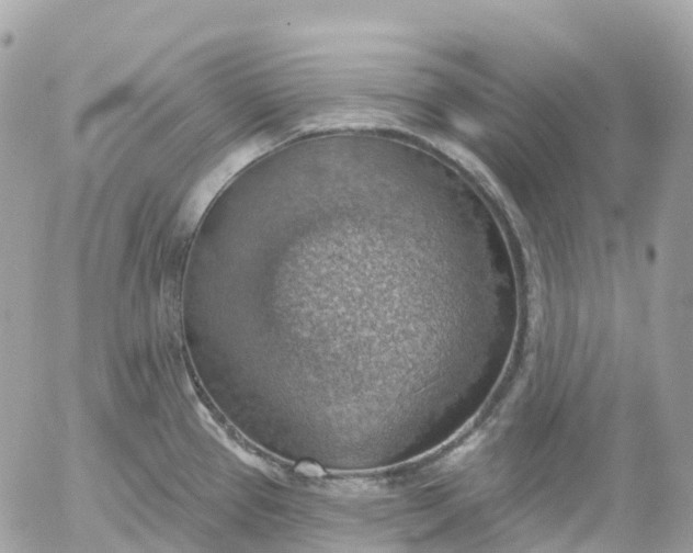 X0000052931337200507221112