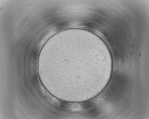 X0000052931338200507221112