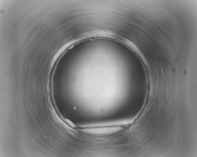 X0000052931339200507221112