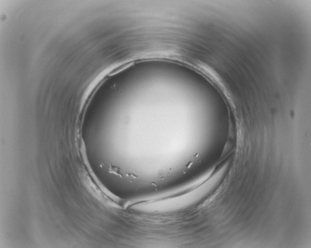 X0000052931340200507221112