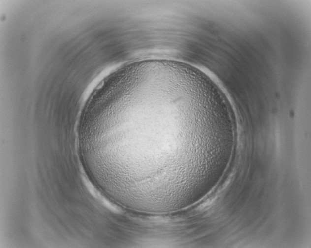 X0000052931341200507221112