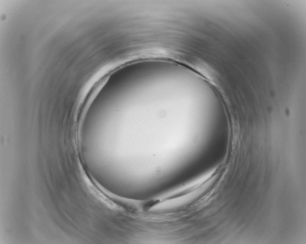 X0000052931342200507221112