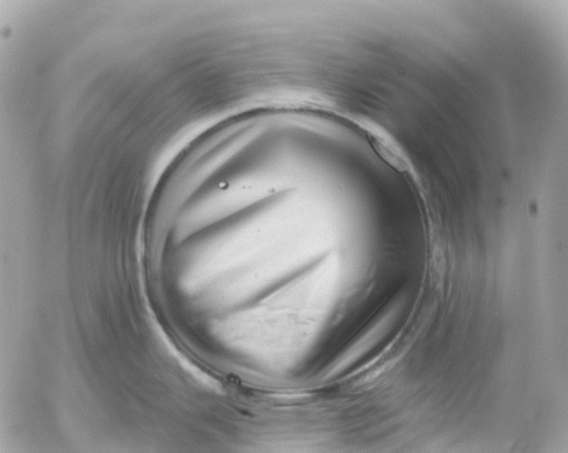 X0000052931343200507221112