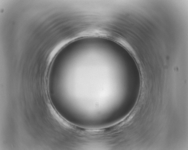 X0000052931344200507221112