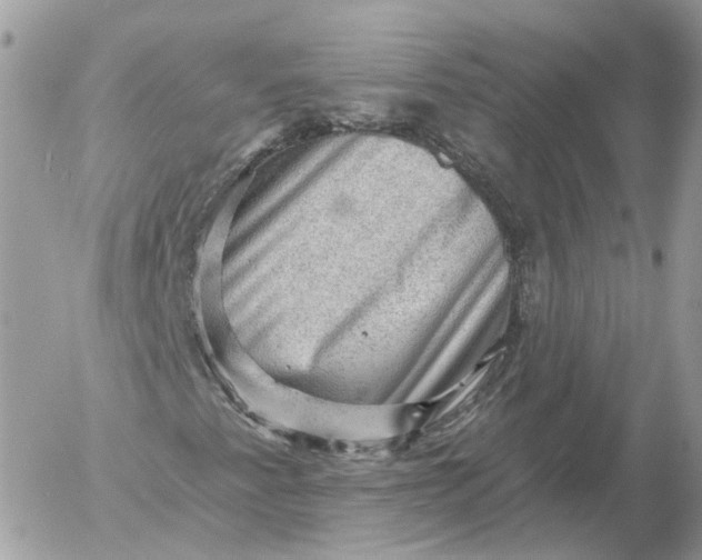 X0000052931345200507221111