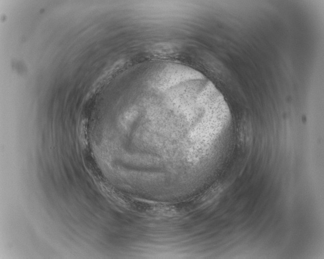 X0000052931346200507221111