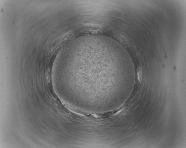 X0000052931347200507221111