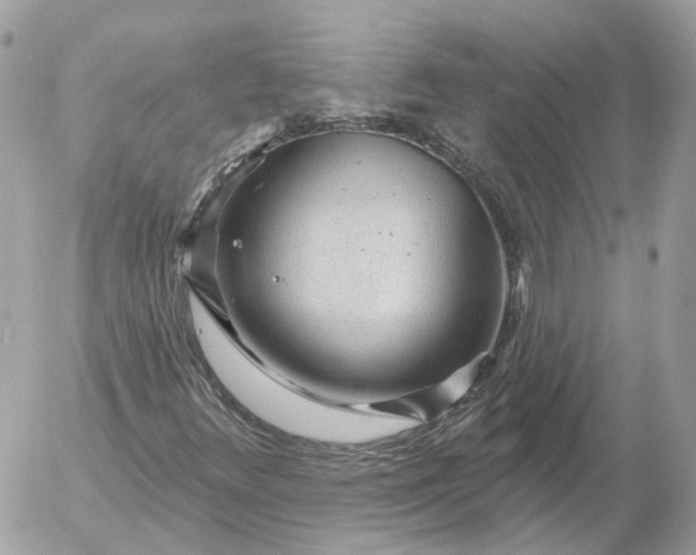 X0000052931348200507221111