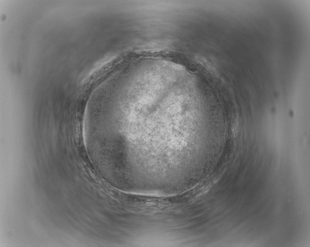 X0000052931350200507221111