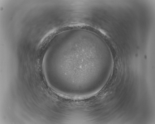 X0000052931351200507221111