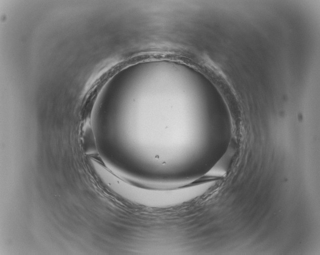 X0000052931352200507221111