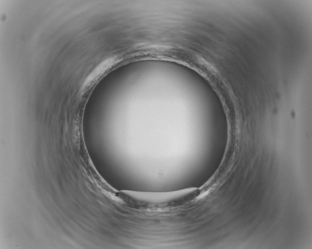 X0000052931354200507221111