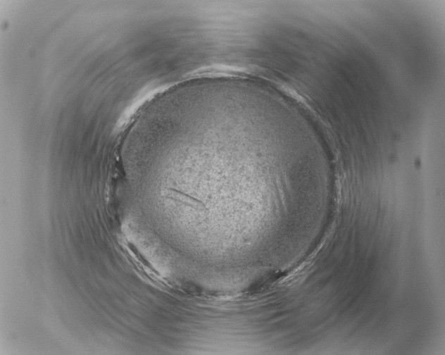 X0000052931355200507221111