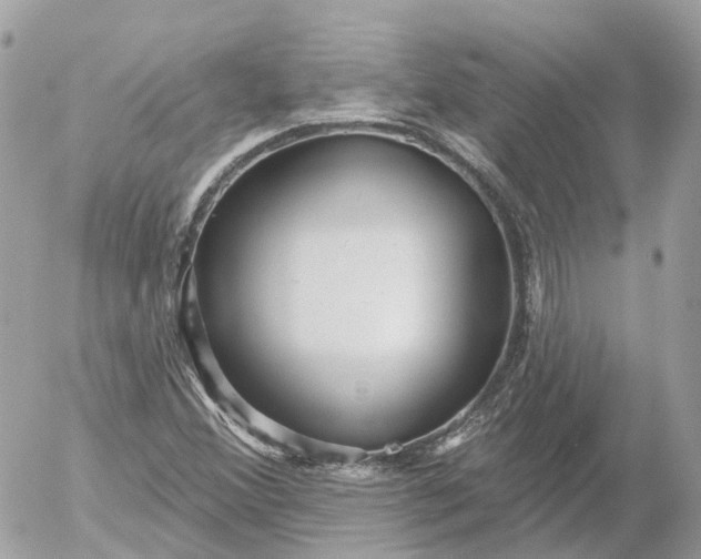 X0000052931356200507221111