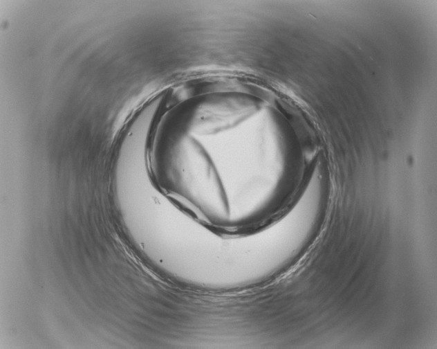 X0000052931357200507221111