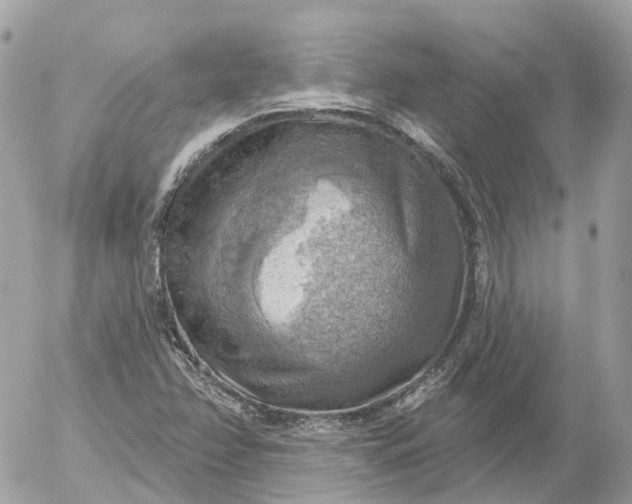 X0000052931358200507221111