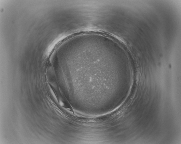 X0000052931359200507221111