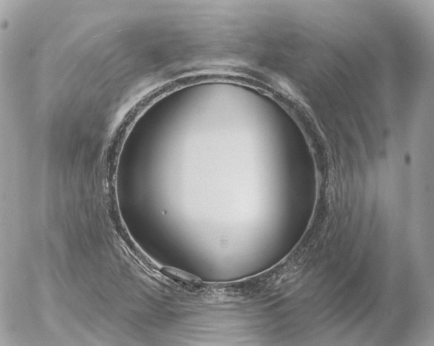 X0000052931360200507221111