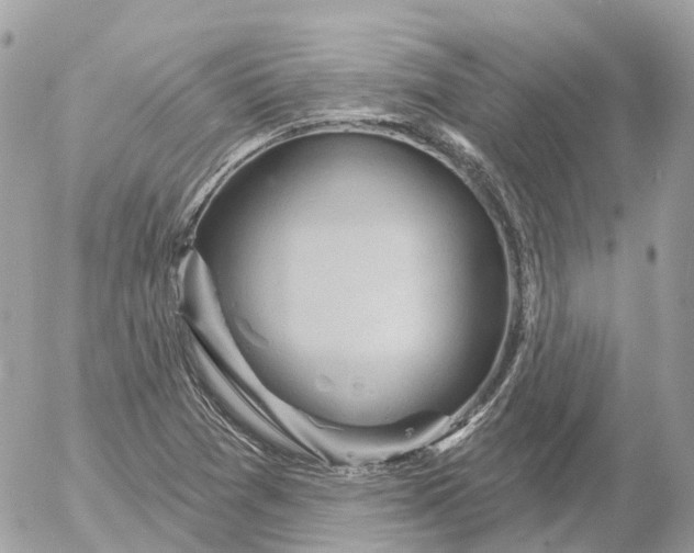 X0000052931361200507221111