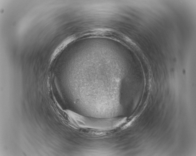 X0000052931362200507221111