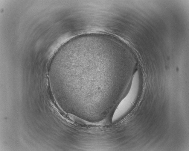 X0000052931363200507221111