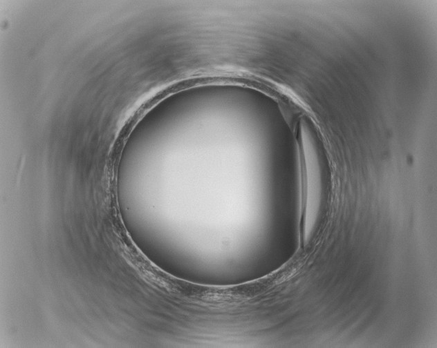 X0000052931364200507221111