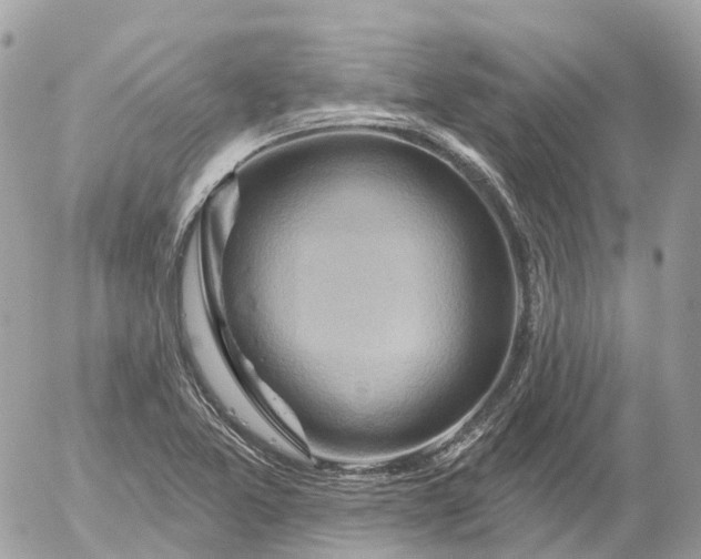 X0000052931365200507221111