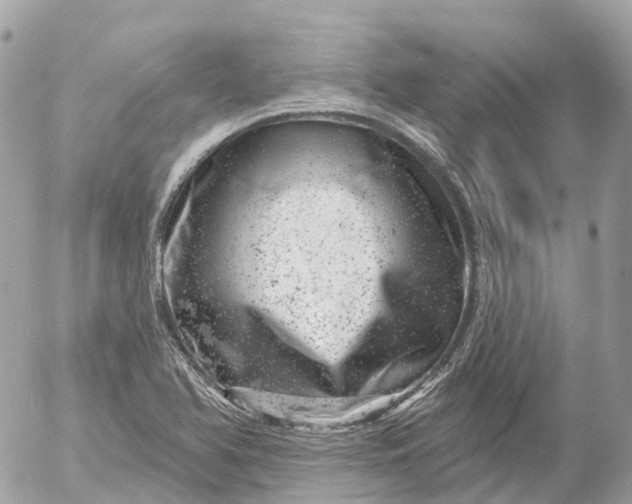 X0000052931366200507221111