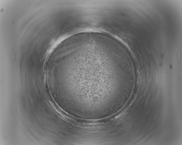 X0000052931367200507221111