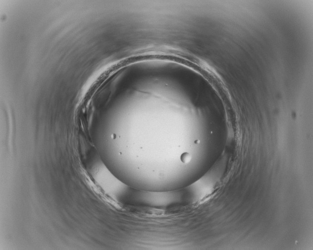 X0000052931368200507221111