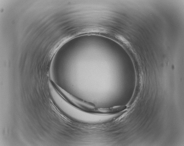 X0000052931369200507221111