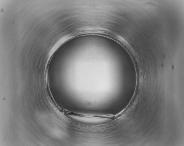 X0000052931370200507221111