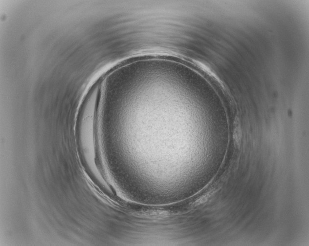 X0000052931372200507221111