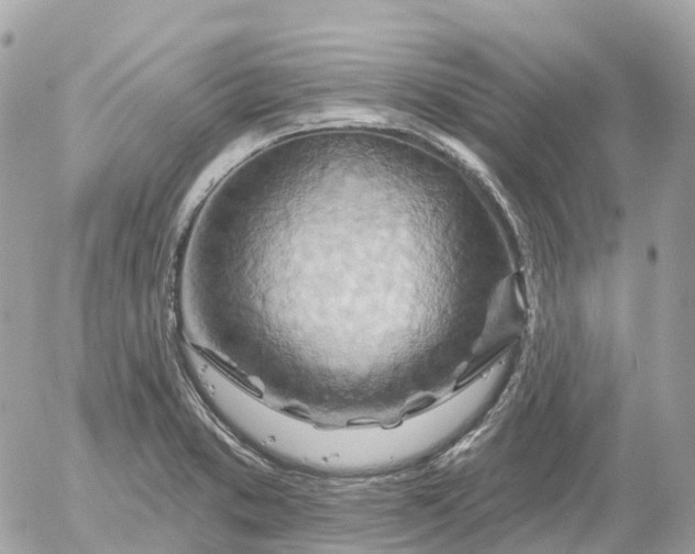 X0000052931373200507221111