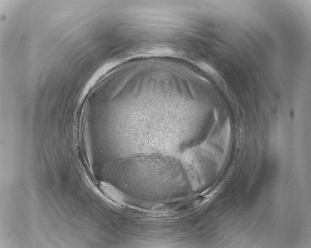 X0000052931374200507221111